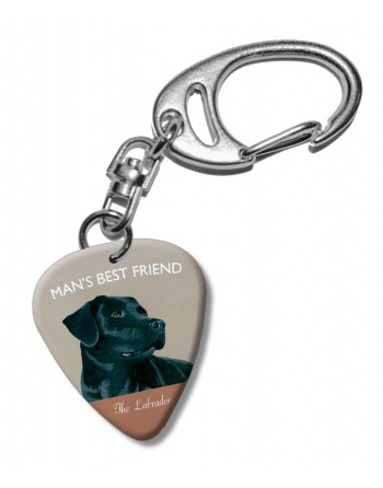 Labrador hond plectrum...