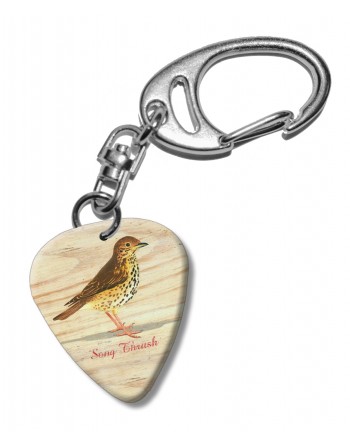 Lijster plectrum sleutelhanger