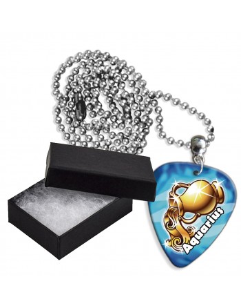 Waterman sterrenbeeld aluminium plectrum ketting