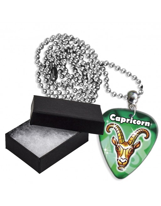 Steenbok sterrenbeeld aluminium plectrum ketting