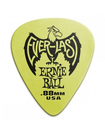 Ernie Ball Everlast...