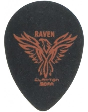 Clayton Black raven small...