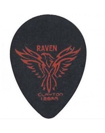 Clayton Black raven small...