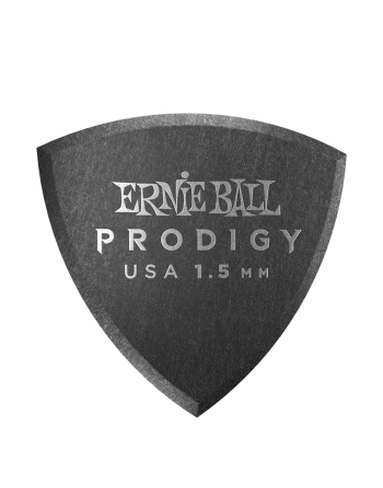 Ernie Ball Prodigy shield...