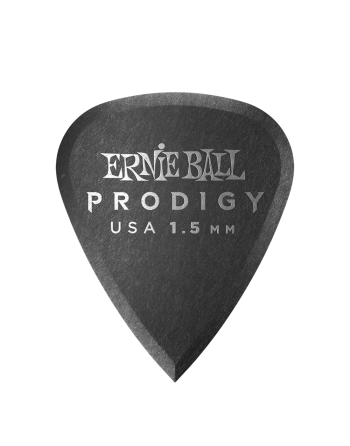 Ernie Ball Prodigy...