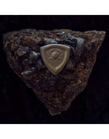 Verzilverde plectrum - Sterrenbeeld - Kreeft 3.00 mm