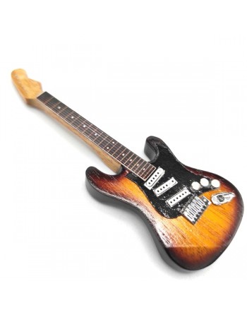 Fender Stratocaster...