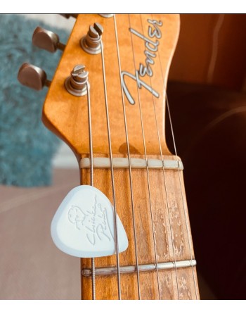 ChickenPicks Shredder plectrum 2.40 mm